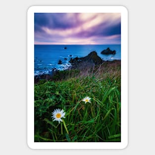 Wildflowers at Scotty's Point Sticker